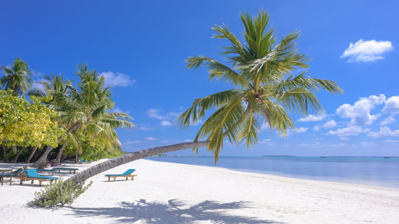 A beach to relax on vacation