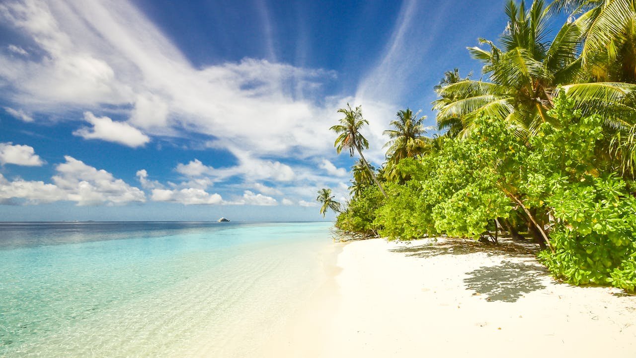 A nice beautiful beach scene