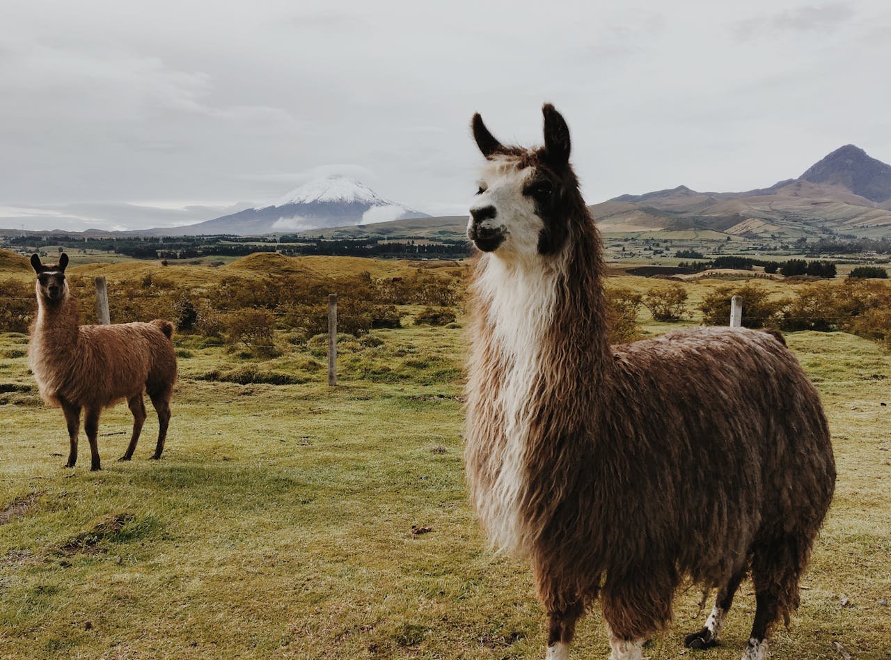 Adventure Travel in South America