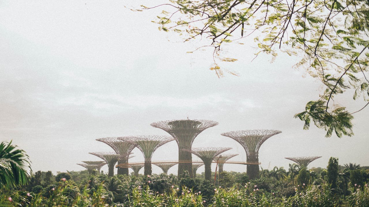 Singapore's city is one of the greenest