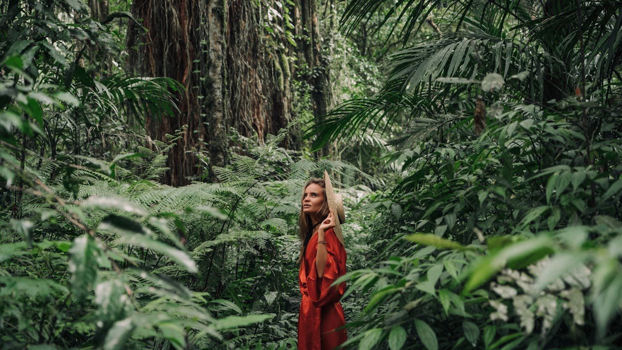 Green forest suitable for eco-conscious travelers