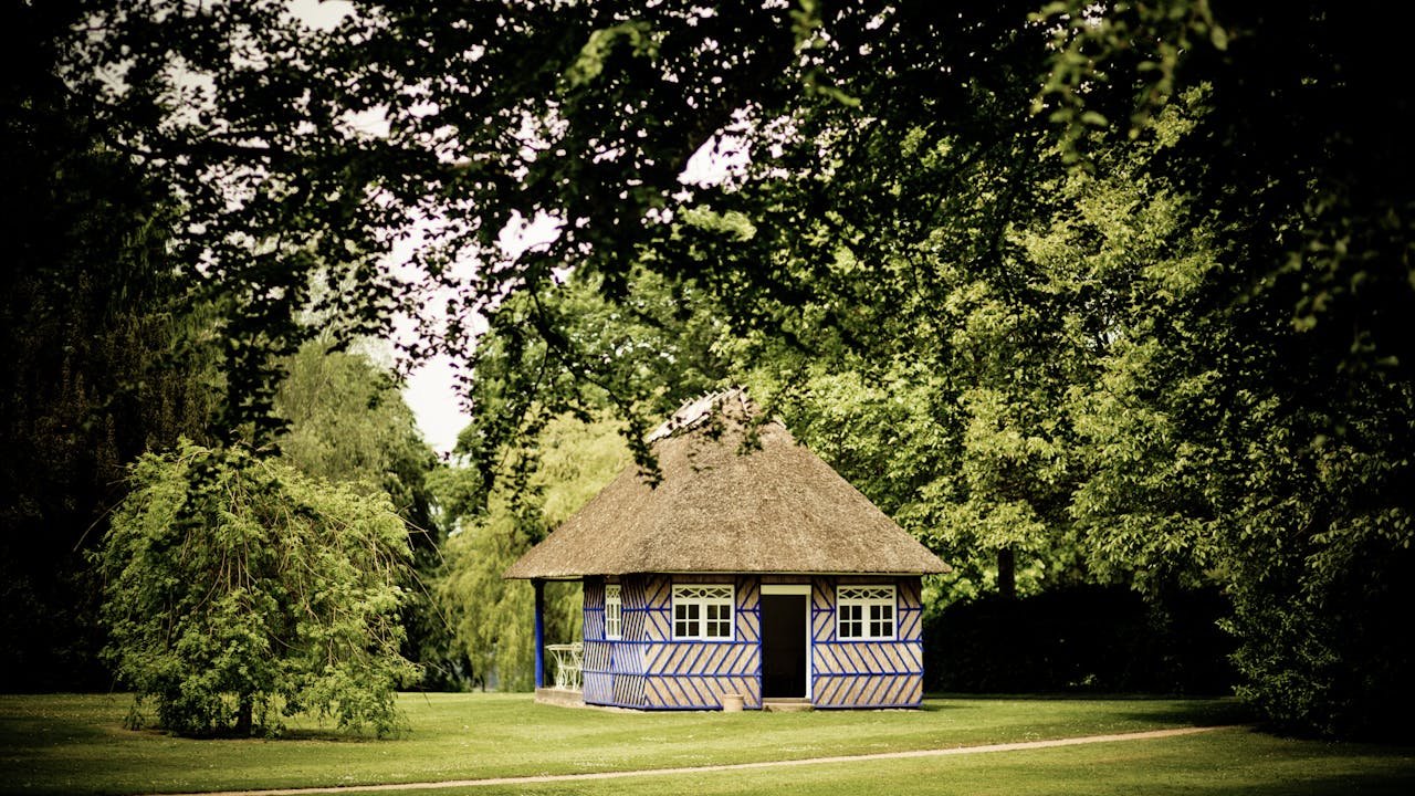 An accommodation in the  middle of green forest