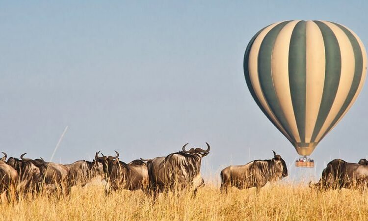 Hot-Air-Balloon