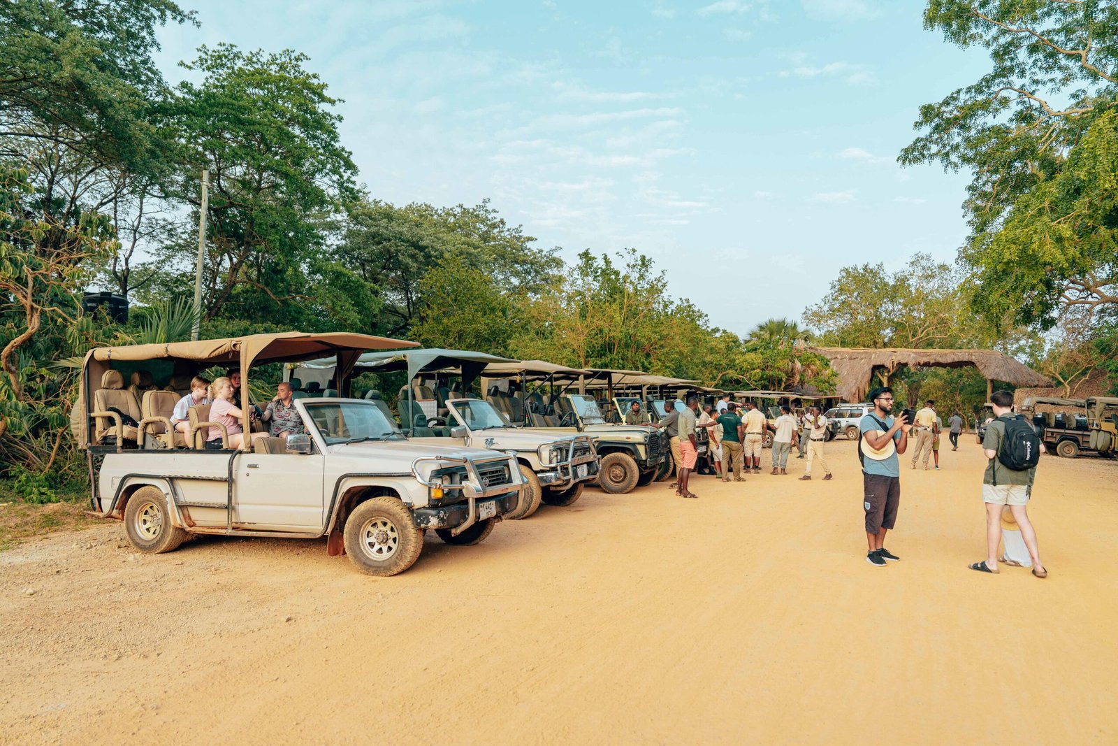 Safari tours 
