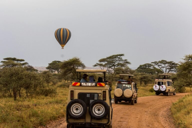 Luxury Safari Tours